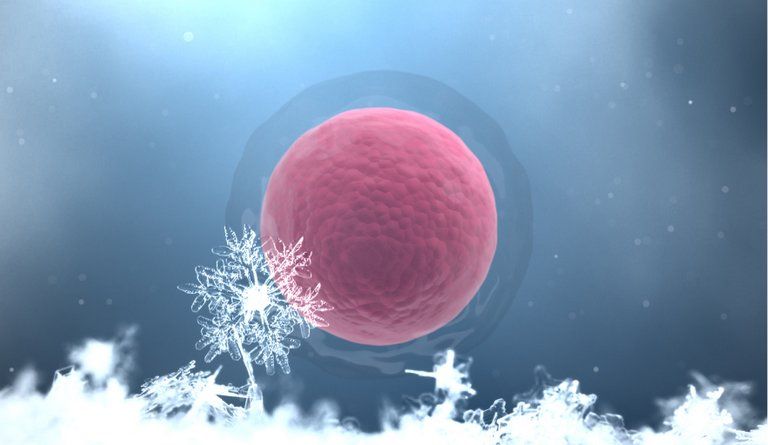 Freezing-oocyte-vitrification