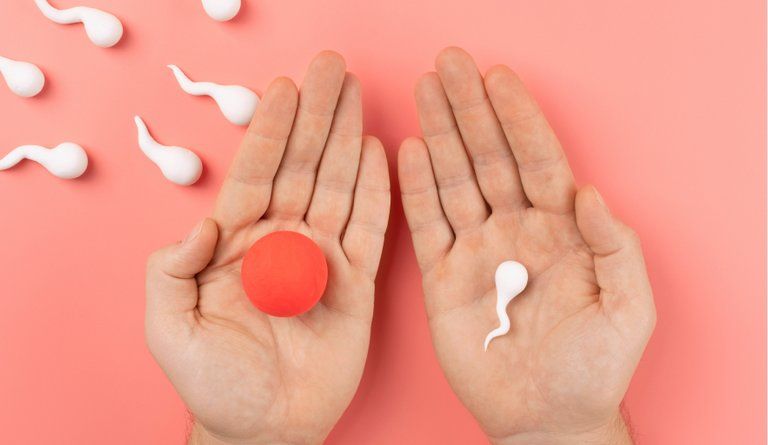 Ivf-oocyte-donation