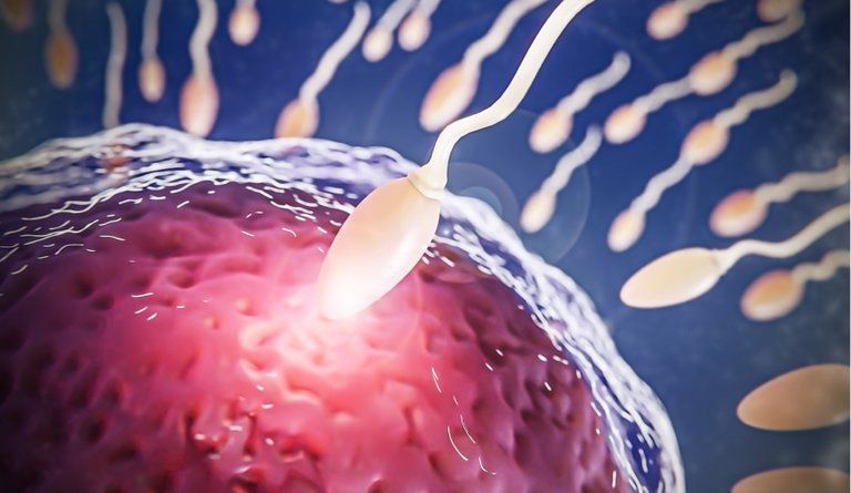 Ivf-own-oocytes