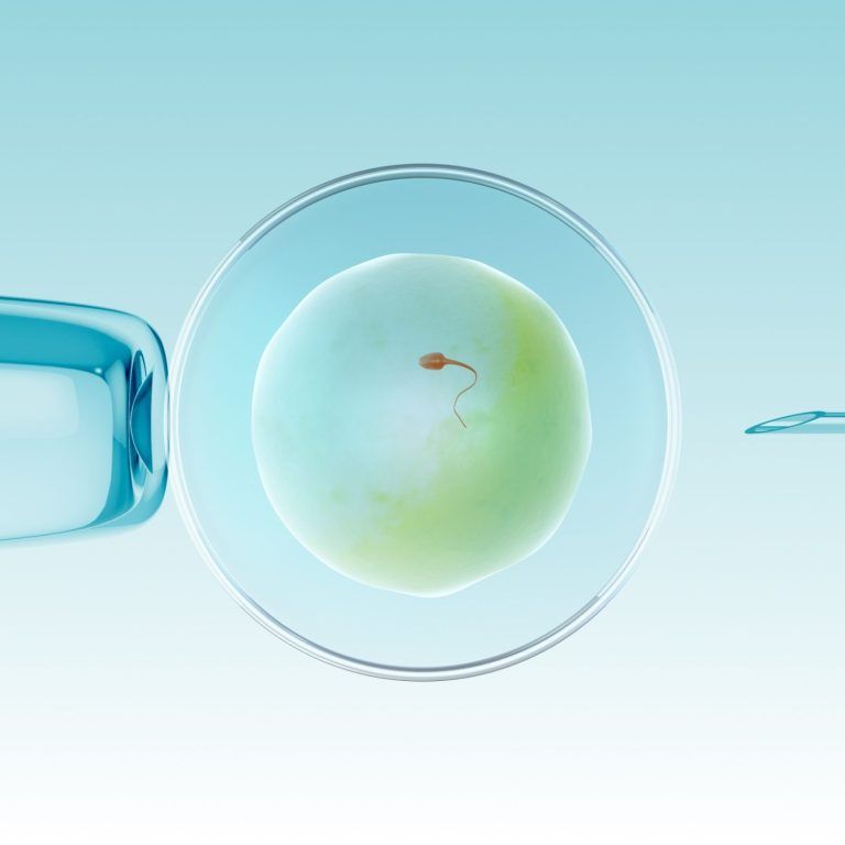 Microscopic view of a human egg cell being fertilized by a sperm cell during IVF treatment.