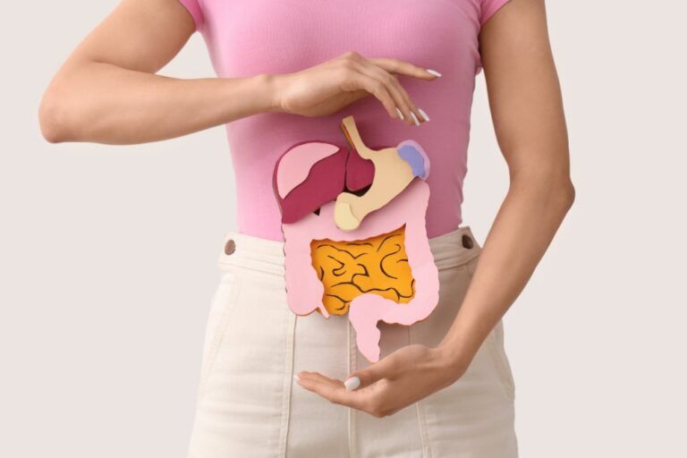 Woman with illustration of abdominal organs showing visceral fat around the digestive system